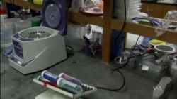 West Africa Ebola Vaccine Trials Possible by Early 2015