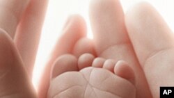 Award-Winning Film Explores Meaning of Life