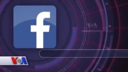 G’aroyib maxluqlar qayerda?