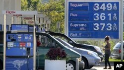 Западная Россия