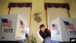 Yun Wang, 63, laughs while voting with her husband Sung Wang (not pictured), 68, both of Central City, underneath a stuffed bobcat at the Central City Courthouse in Central City, Colorado, 2 Nov 2010