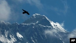 FILE - A bird flies as Mount Everest is seen from Namche Bajar, Solukhumbu district, Nepal, May 27, 2019.
