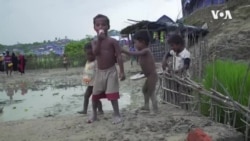 Rohinja musulmonlarining bugungi ahvoli qanday?