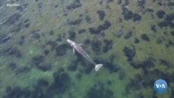 Xalqaro hayot – 7-may, 2021-yil