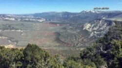 Ancient Rocks and Fossils Await Park Visitors