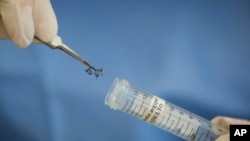 FILE - A technician of the Fiocruz institue stores Aedes aegypti mosquitoes to be used in research, in Recife, Pernambuco state, Brazil, Wednesday, Jan. 27, 2016.