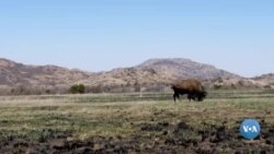 Amerikaga sayohat: Tulsa