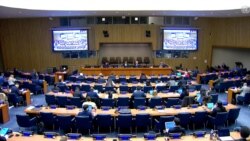 유엔총회 1위원회 '북 핵' 관련 결의안 3건 초안 제출