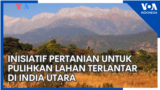 Inisiatif Pertanian untuk Pulihkan Lahan Terlantar di India Utara