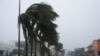 Hurricane Grace Makes Landfall on Mexico’s Yucatan Peninsula