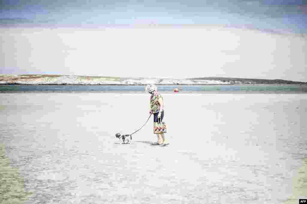 ស្ត្រីម្នាក់ដើរបណ្តើរសត្វសុនខមួយក្បាល់នៅលើឆ្នេរសមុទ្រ Main Beach នៅទីក្រុង Langebann ប្រទេសអាហ្វ្រិកខាងត្បូង បន្ទាប់ពីប្រធានាធិបតីប្រទេសនេះបានចេញវិធានការបិទសកម្មភាពក្នុងប្រទេសដោយសារតែការឆ្លងរាតត្បាតនៃជំងឺកូវីដ១៩។ 