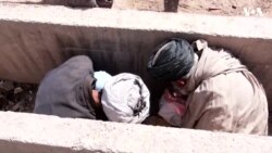 بُلوارهای شهر هرات٬ مکانی برای زندگی دایمی معتادان