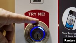 A Somali fisherman carries a hammerhead shark on his head to the Hamarweyne fish market near the port in Mogadishu, Somalia.
