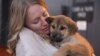 Humane Society International animal rescue responder Masha Kalinina holds a puppy, one of 23 rescued by the organization from a dog meat farm in Ilsan, South Korea, at Dulles International Airport in Washington, D.C.