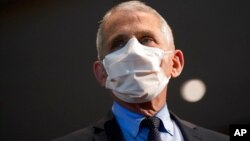 Dr. Anthony Fauci, pakar penyakit menular terkemuka AS 