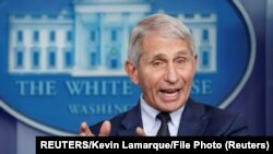 Entoni Fauči, američki stručnjak za zarazne boleti i član tima Bele kuće za borbu protiv koronavirusa (Foto: REUTERS/Kevin Lamarque)