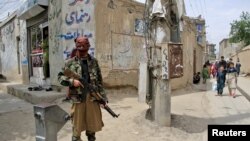 یک عضو طالبان. آرشیو