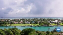 Amerikaga sayohat: Florida Kis