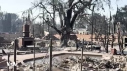 آثار آتش‌سوزی ویرانگر لس‌آنجلس؛ تصاویر ارسالی خبرنگار صدای آمریکا