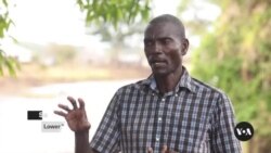 Residents on Kenya’s coast use app to track migratory birds