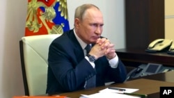 پوتین. آرشیو
