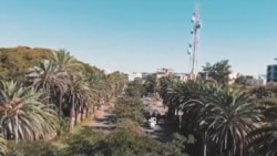 የችሎት ዘገባ