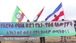 የኤርትራ ባህል ቡድን - በሀዋሳ
