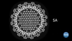 COVID-19 san’at olamida ham o’z aksini topmoqda