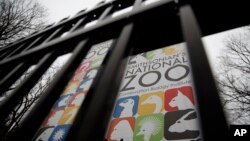 The gate of the closed Smithsonian's National Zoo is seen, Jan. 2, 2019, in Washington.