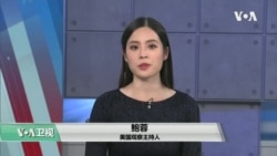 白宫要义: 特朗普解雇国防部长，在多州进行选举诉讼