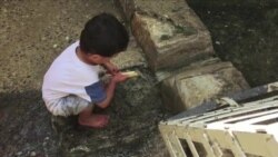 伊拉克雅兹迪人担心民族的未来