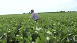 美国农民：不要援助要市场