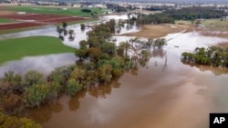 FILE - Lahan pertanian di dekat Bendigo, Australia, terendam banjir, 8 Januari 2024. (Diego Fedele/AAP Image via AP)
