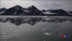 Xalqaro hayot - 14-yanvar, 2019-yil - Iqlim o'zgarishi - afsonami yoki haqiqat?