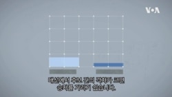 [2020 미국의 선택!] 대선 결과 발표, 지연될 수도 있다?