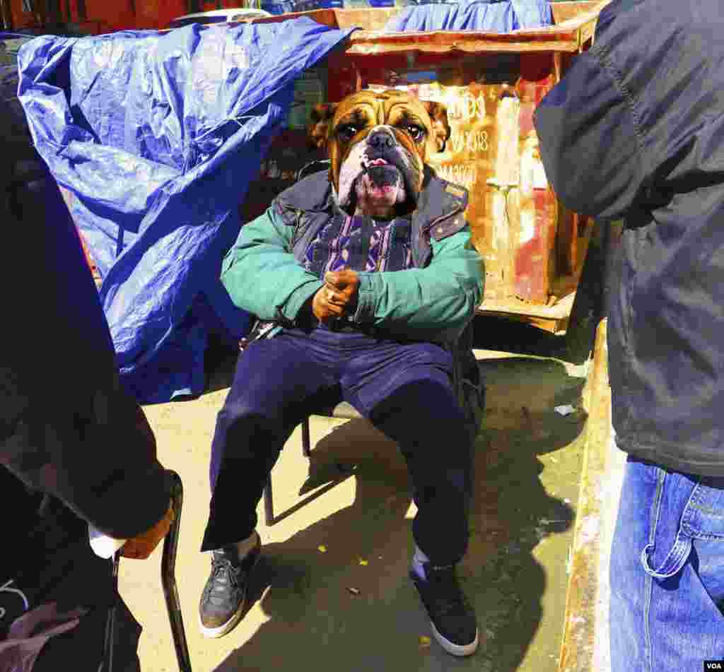 D&#39;Angelo Hayward, My Dawg 