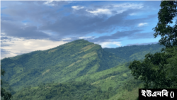 ফাইল ফটো 