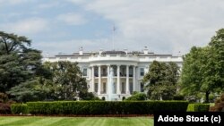 کاخ سفید - آرشیو