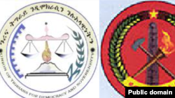 አረና ትግራይ እና ሕወሓት