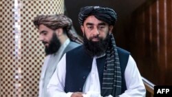 ذبیح‌الله مجاهد، سخنگوی طالبان - آرشیو