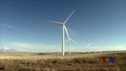 专家:美国有望在15年内以再生能源为主