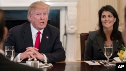 Presiden AS Donald Trump dan Dubes AS untuk PBB Nikki Haley dalam acara makan siang dengan sejumlah anggota Dewan Keamanan PBB di Gedung Putih, Washington DC, Senin (29/1). 
