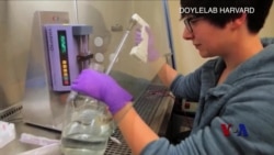 美科研人员取得治愈糖尿病新进展