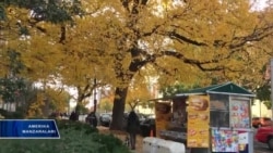 Iqlimdagi o'zgarishlar va bugungi hosil