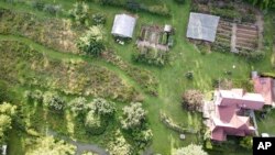 This undated photo shows the garden of writer Lee Reich in New Paltz, NY. A mixed garden of vegetables, flowers, herbs and fruits can please all the senses. (Lee Reich via AP)