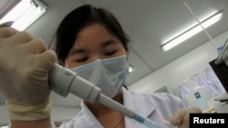 资料照片：一名研究人员在位于中国深圳的北京基因组研究所“DNA实验室”将样本放入容器中。(2010年3月3日)