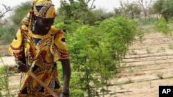 IRC says women in post-conflict West Africa often face violence at the hands of their partners and spouses (File)