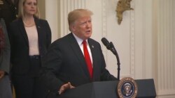 Trump on Investigation, Political Violence