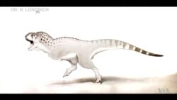Newly ID'd Fossil Shows Unique African Dinosaurs