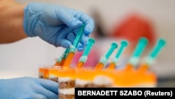 COVID-19-themed dessert in Hungary